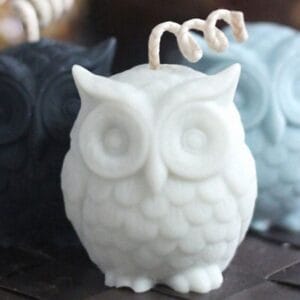 Silicon Mould – OWL