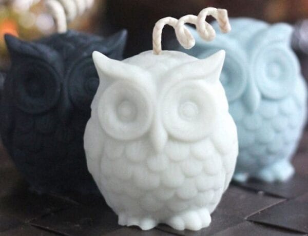 Silicon Mould - OWL