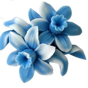 Silicon Mould – 2 Flower Topper (CM087)