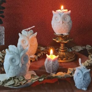 Silicon Mould- Large Owl (CM125)