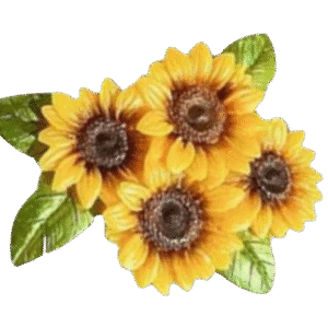 Silicon Mould – 4 Cavity Sunflower (CM013)