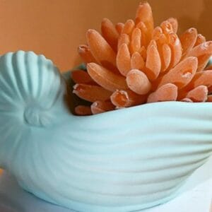 Silicon Mould for Concrete / Resin art | Stripped Counch Big CR028